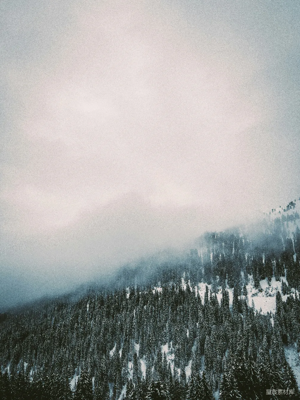 高清摄影 山顶白雪皑皑，树下云雾缭绕。
