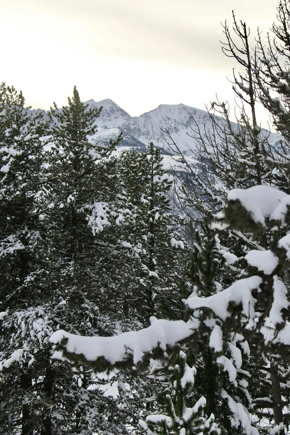 高清摄影 白雪覆盖的山峦范围