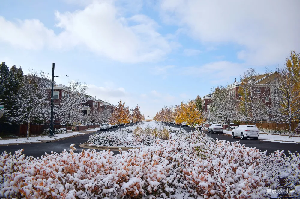 高清摄影 覆盖着白雪的街道，车辆停放在路边。