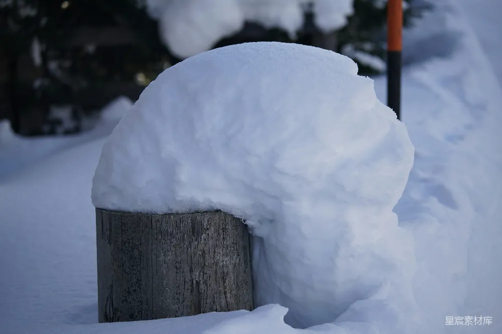 高清摄影 树旁有一根覆盖着白雪的木桩。