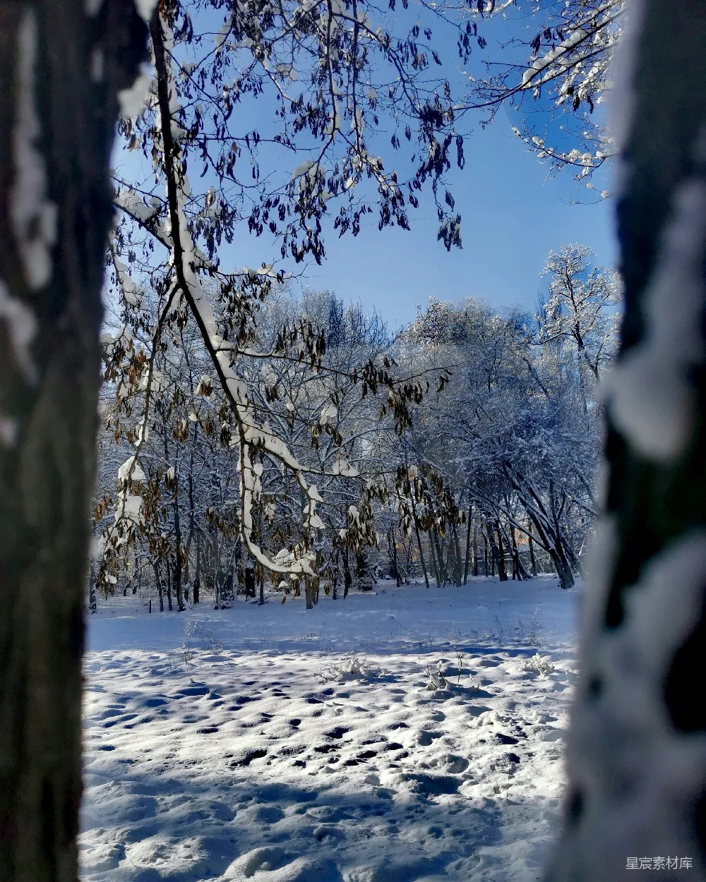 高清摄影 背景是被雪覆盖的田野。