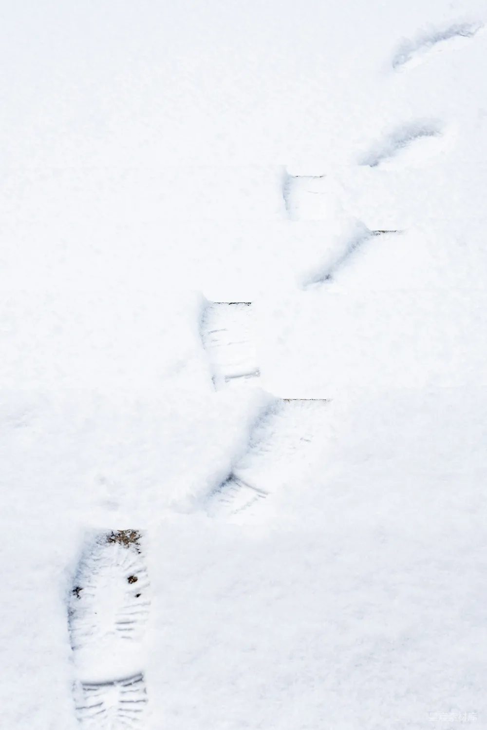 高清摄影 白天覆盖着白雪的田野