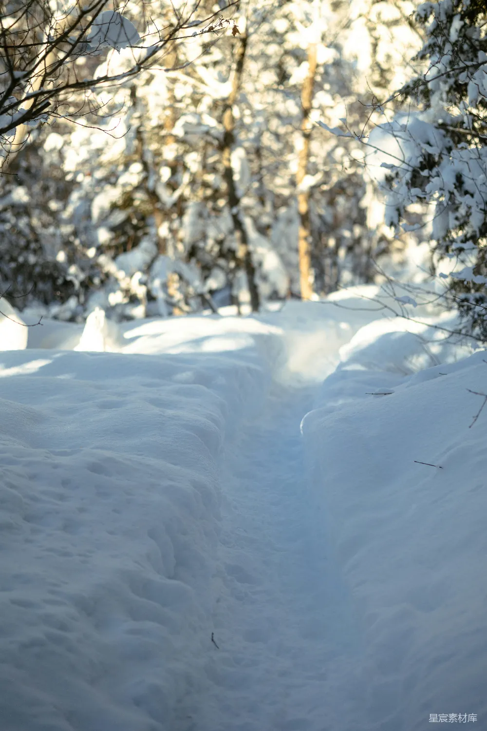 高清摄影 滑雪者在覆盖着白雪的斜坡上滑下