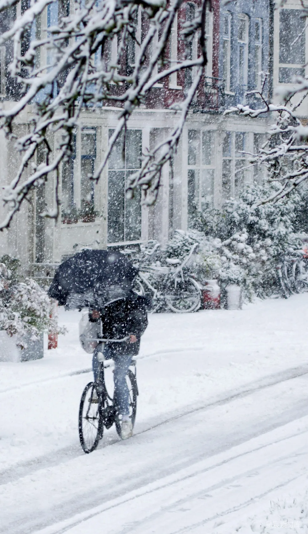 高清摄影 黑色夹克的人在雪天骑自行车手持黑色雨伞