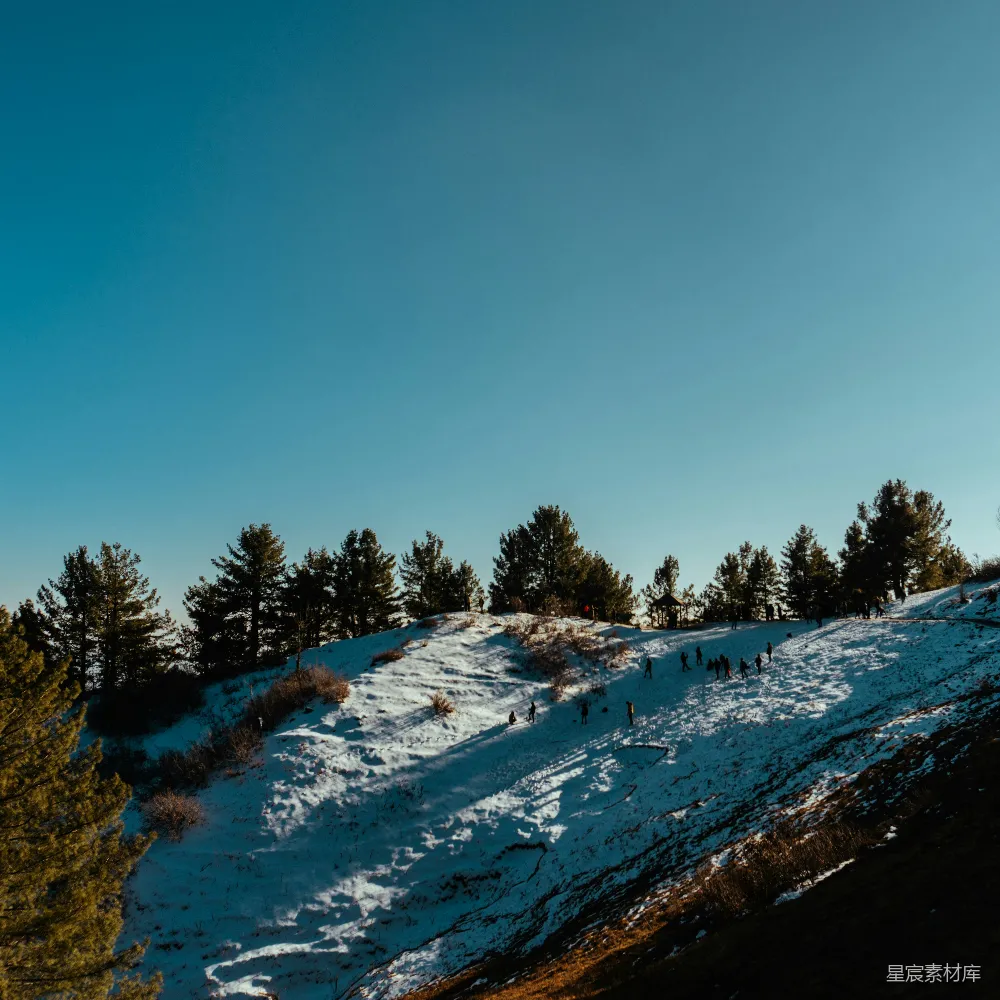 高清摄影 一个滑雪板爱好者沿着覆雪的山坡滑下。