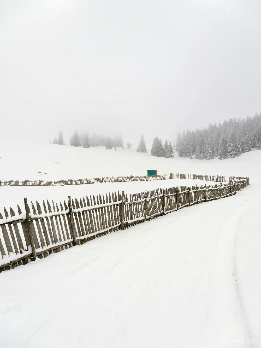 高清摄影 滑雪者在雪地上滑行