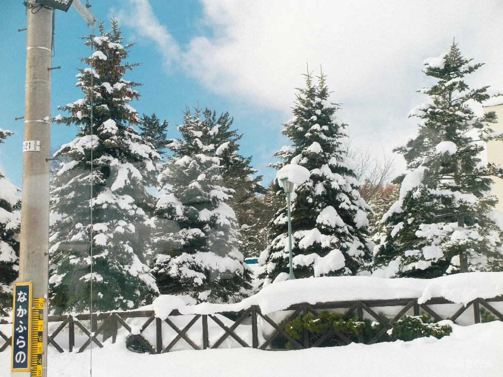 高清摄影 覆盖着白雪的街道，树木和栅栏环绕之中。