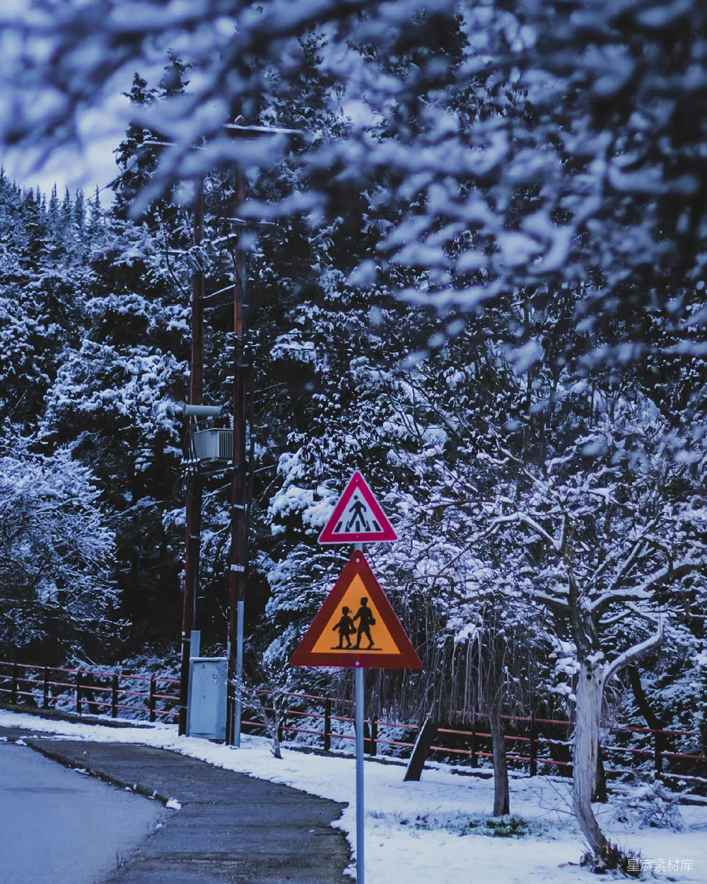 高清摄影 雪地中近处树木旁的黑黄相间交通标志