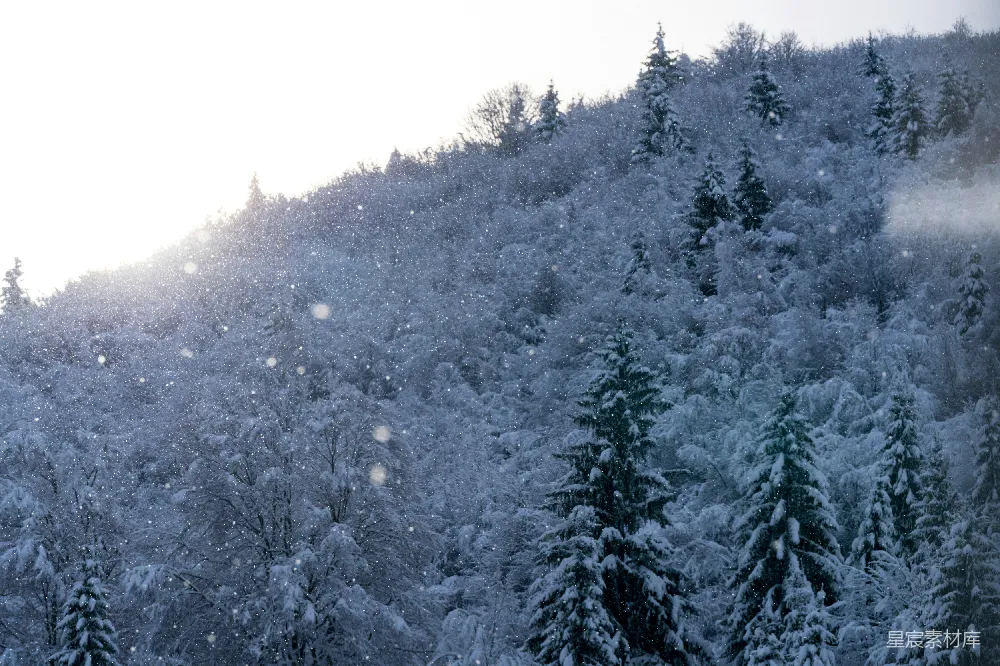 高清摄影 滑雪者正在雪坡下滑。