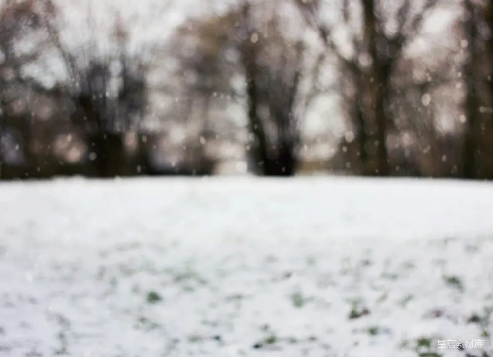 高清摄影 背景中有树木的雪地	field 上有背景中的树木和一片白雪