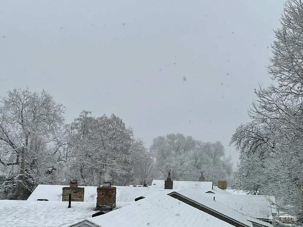 高清摄影 覆盖着积雪的屋顶，背景是树木。