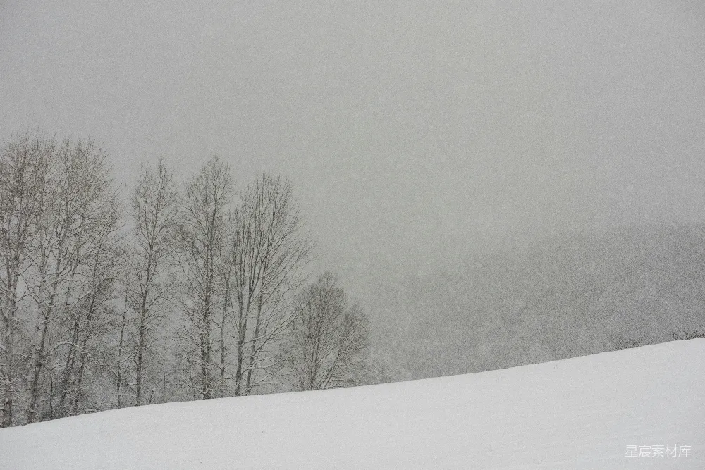 高清摄影 一个人骑着滑板车沿着覆盖着雪的山坡下滑