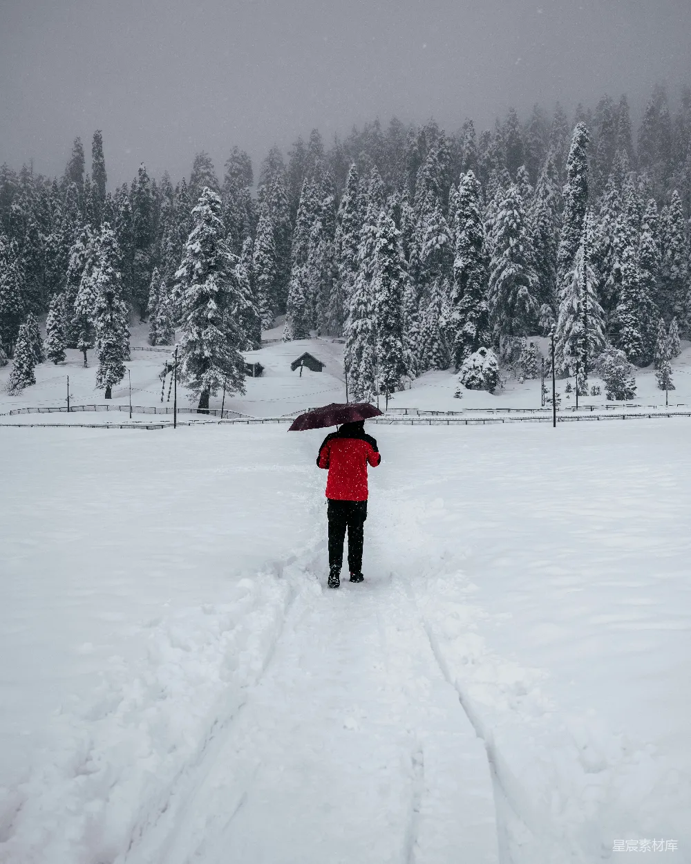 高清摄影 一个手持伞在雪中的人