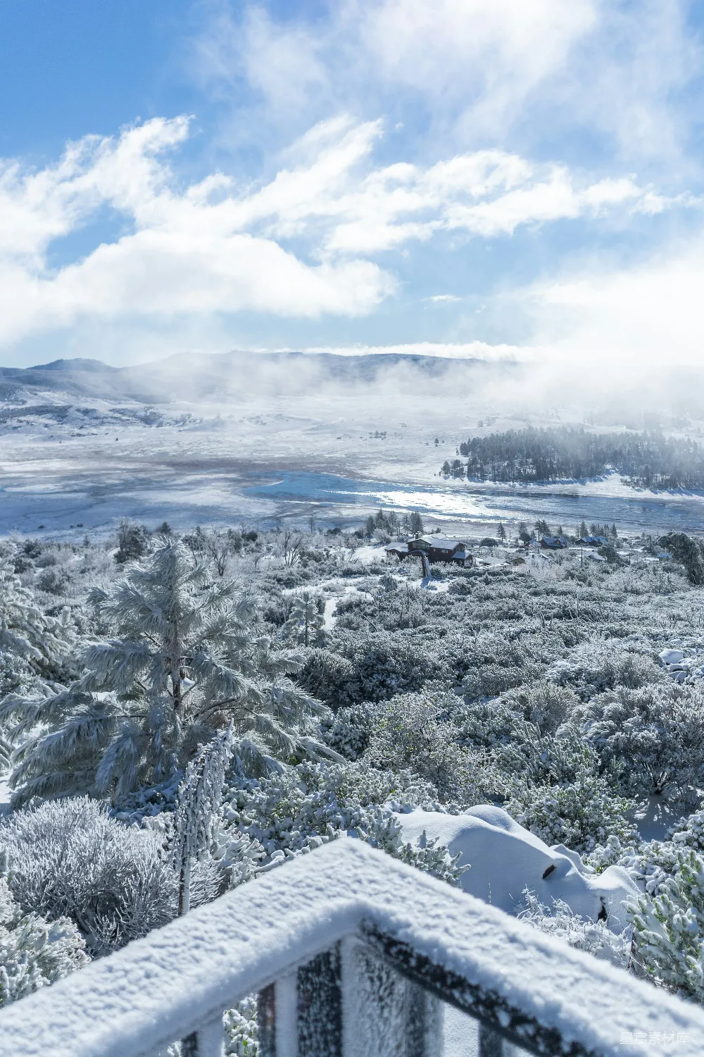 高清摄影 白天雪覆盖树木的 aerial 拍摄