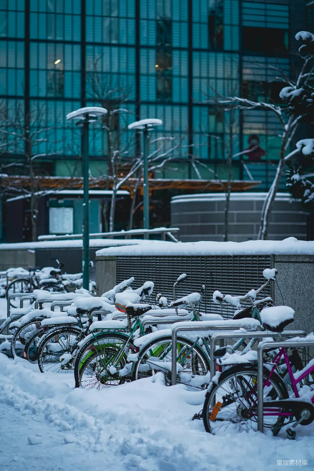 高清摄影 一排排覆满积雪的自行车