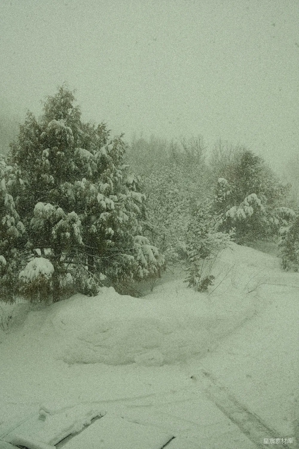 高清摄影 背景中有树的覆雪小路