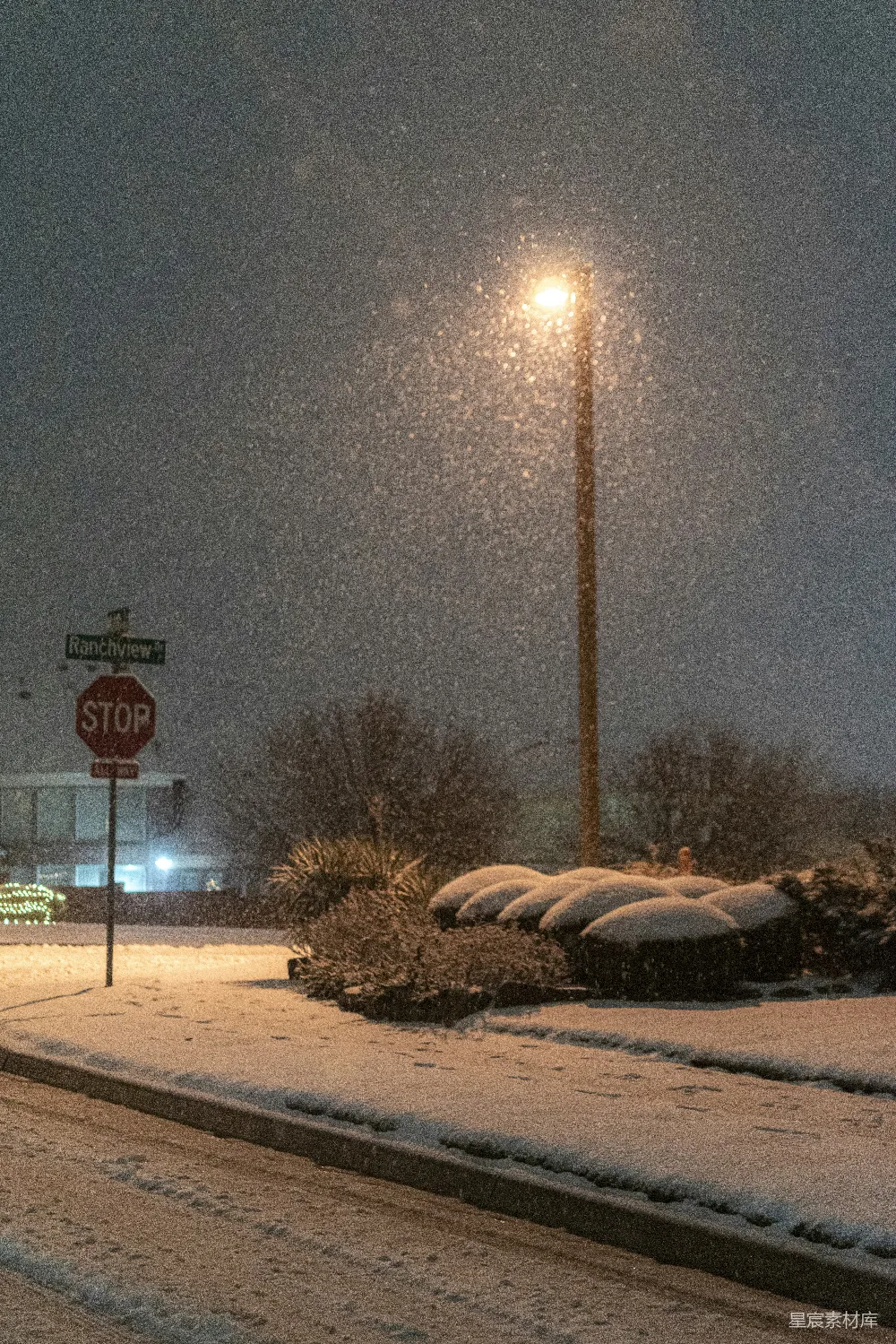 高清摄影 雪夜街道上的一个交通标志牌
