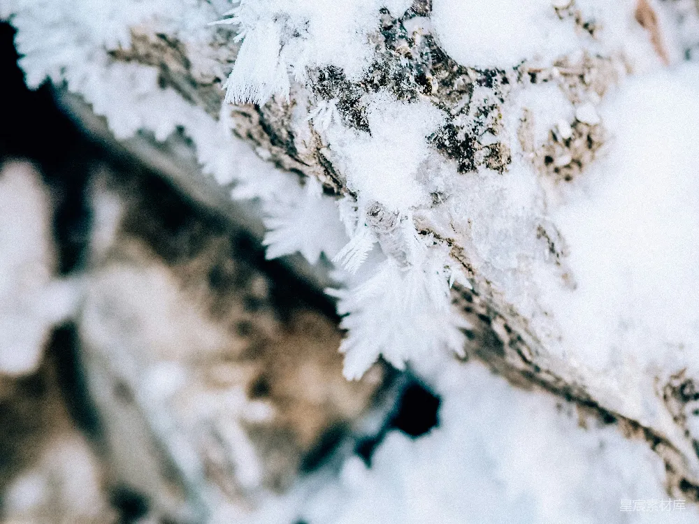 高清摄影 岩石上的特写雪景