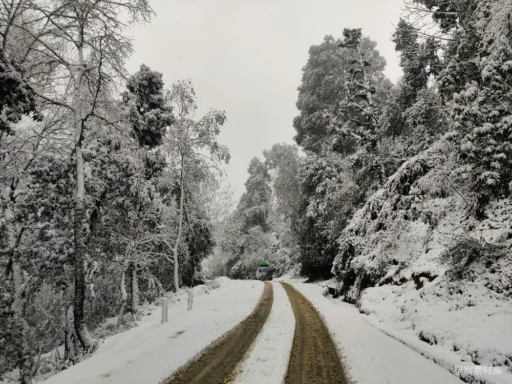 高清摄影 路边覆有白雪的道路