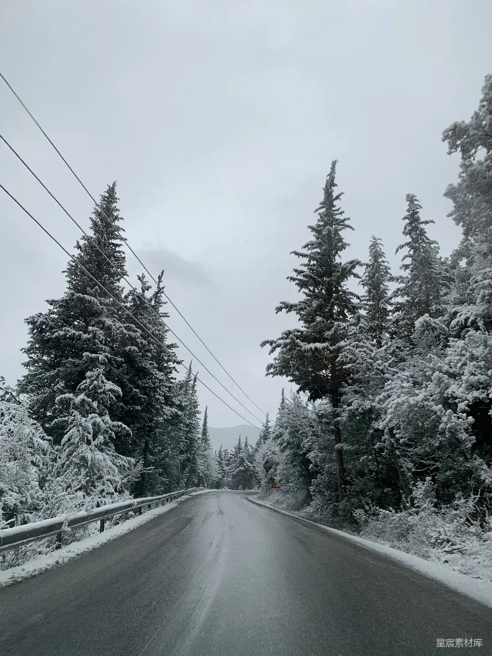 高清摄影 白天积雪覆盖的树木和道路
