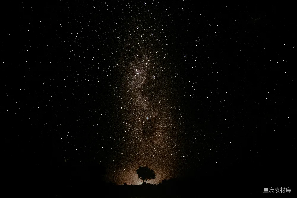 高清摄影 夜空满是星辰，一棵孤树。