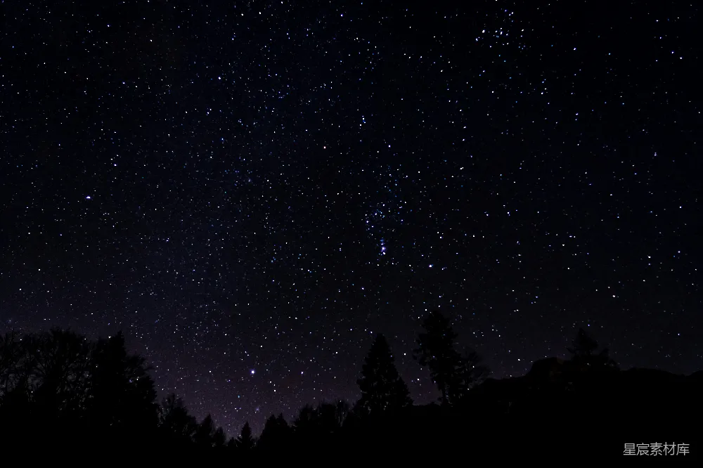 高清摄影 夜空被星星和树木填满。