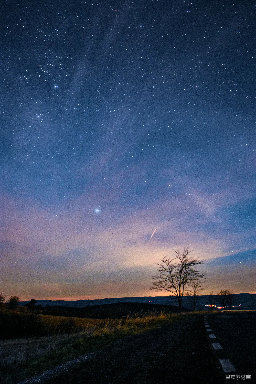 高清摄影 星夜下树木的轮廓