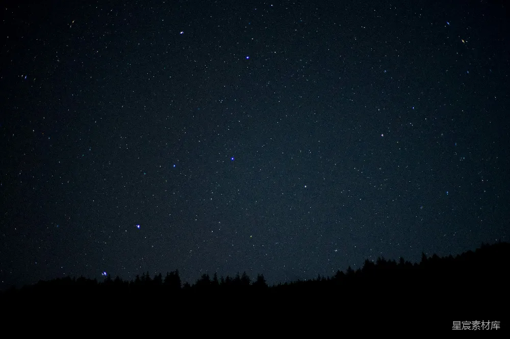 高清摄影 夜空繁星点点，树木在深蓝的天空中形成剪影。