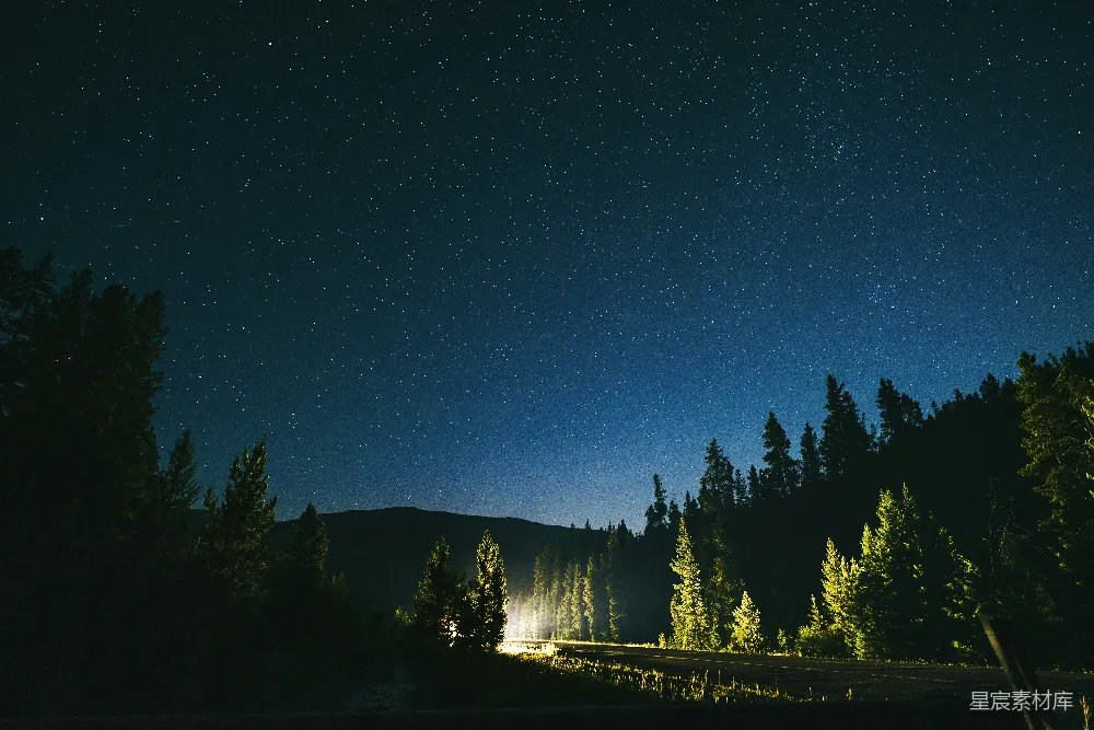 高清摄影 夜空繁星点点，前景是树木。