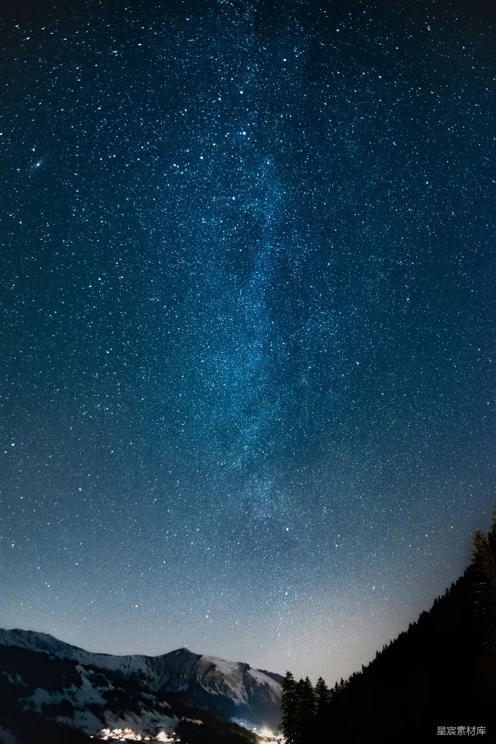 高清摄影 星夜下树的轮廓