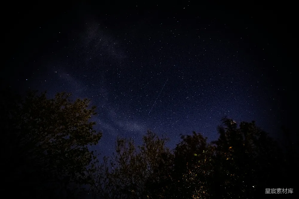 高清摄影 夜间绿树蓝天下