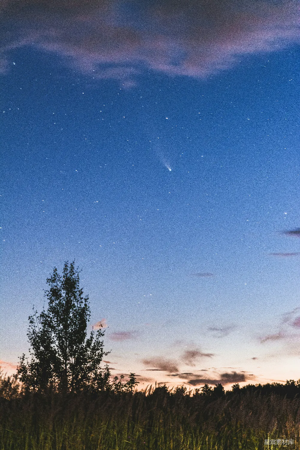 高清摄影 夜空繁星点点，一望无际的草场之上。