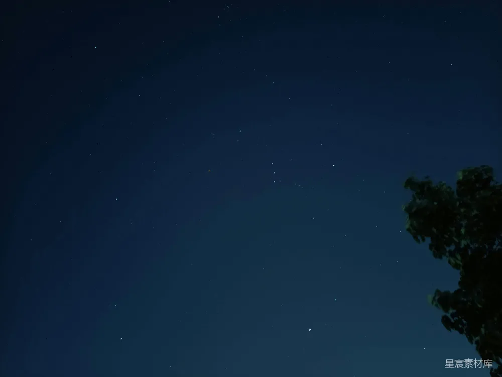高清摄影 夜空中的星星和一棵树