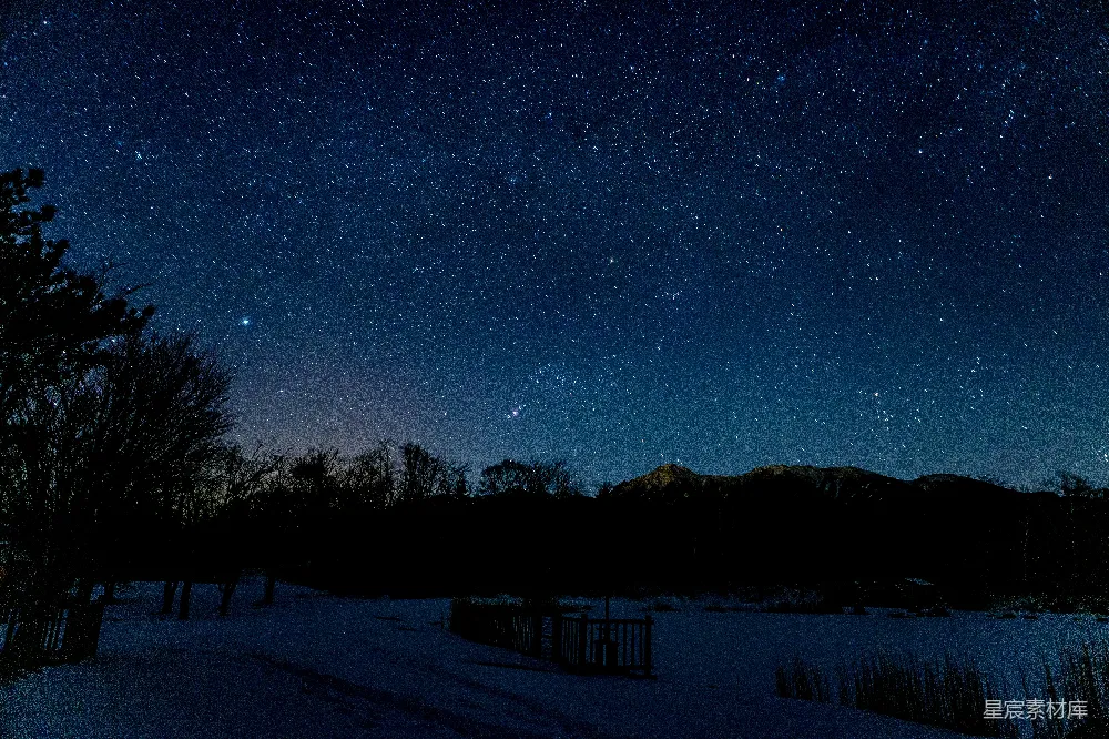 高清摄影 夜晚树木和山的轮廓图象