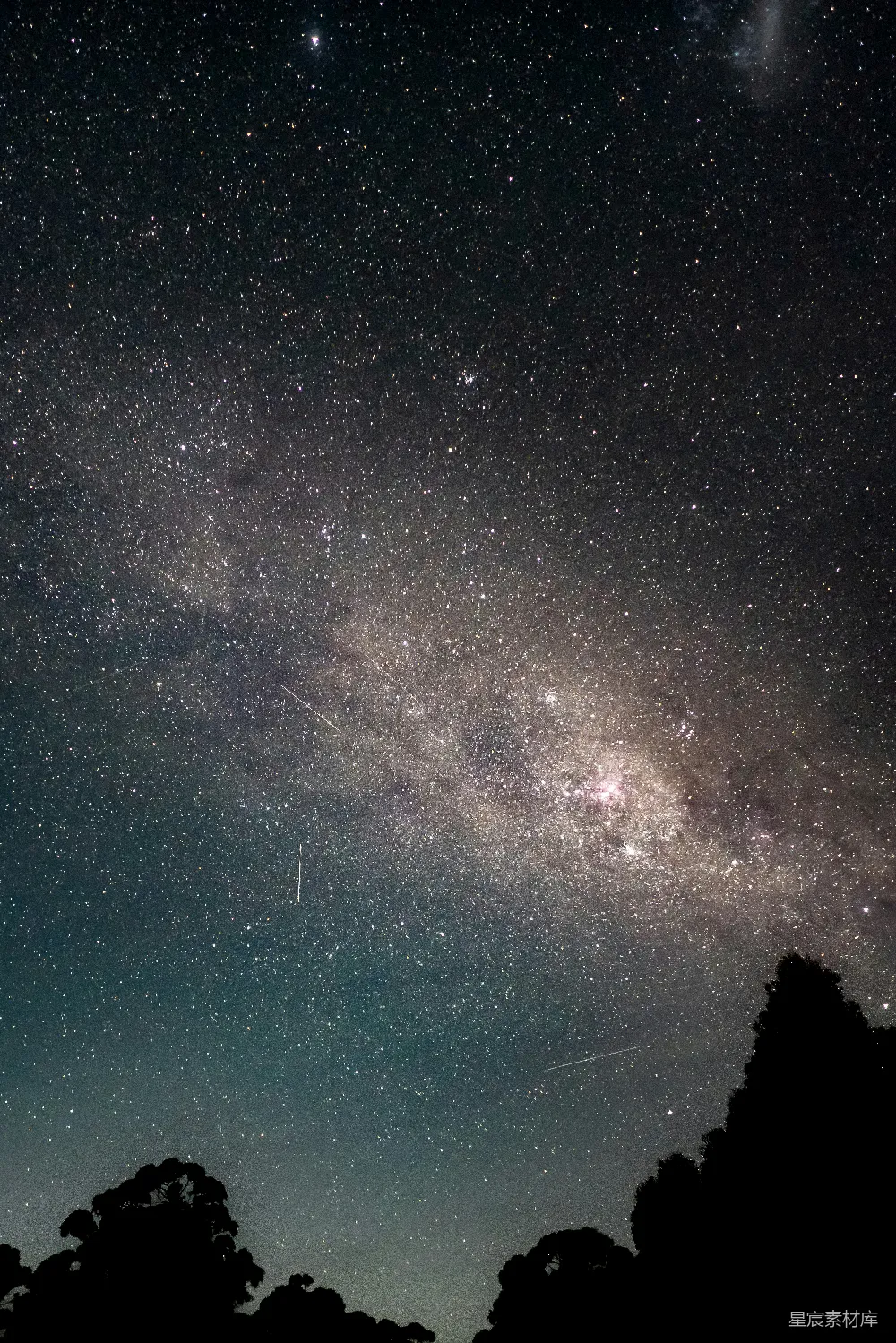 高清摄影 夜空被星辰和树木填满