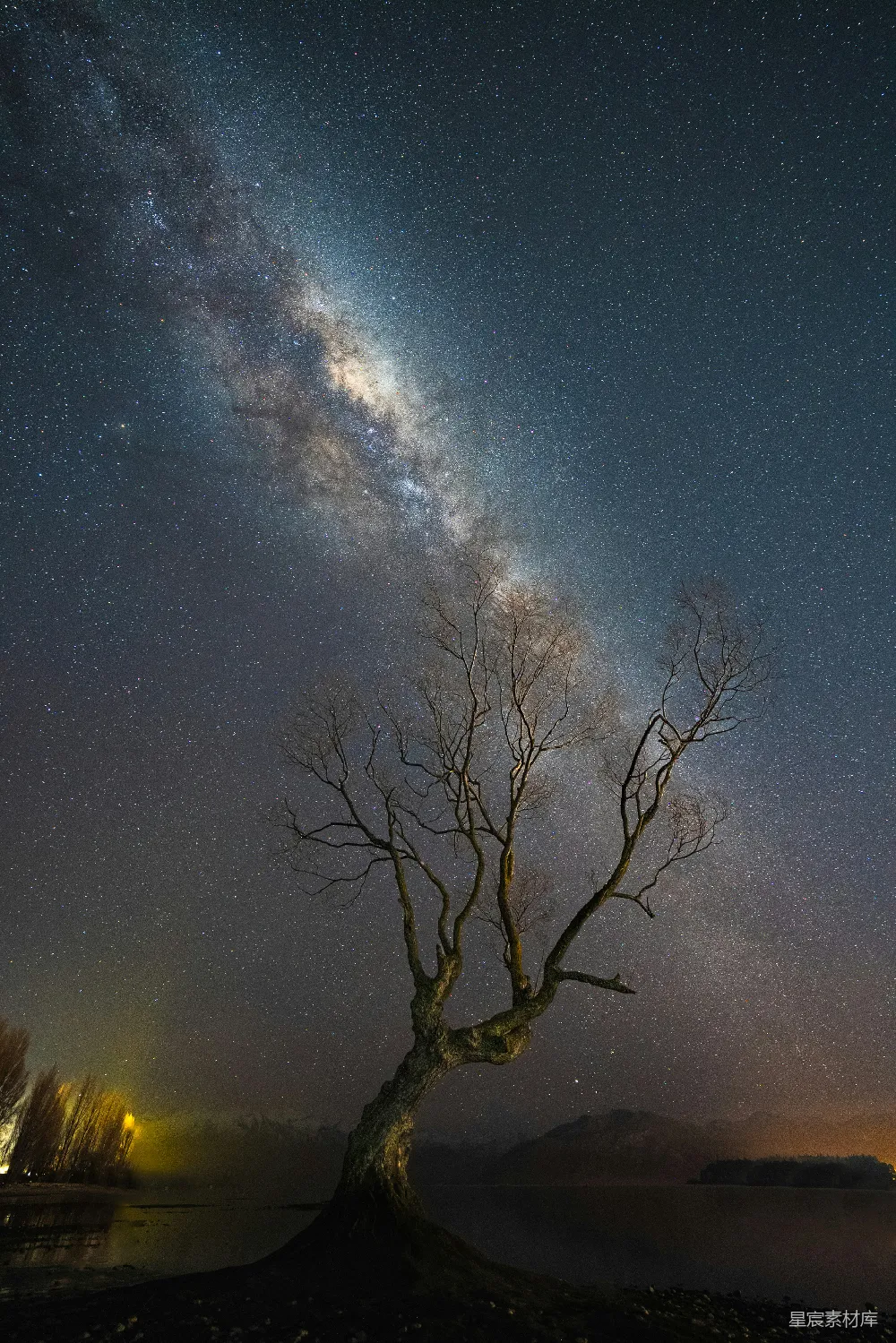 高清摄影 银河在一座孤树之上夜空中的景象