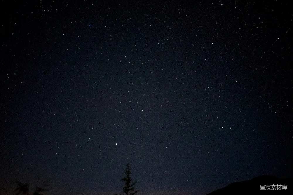 高清摄影 满天星辰与一棵树的夜空
