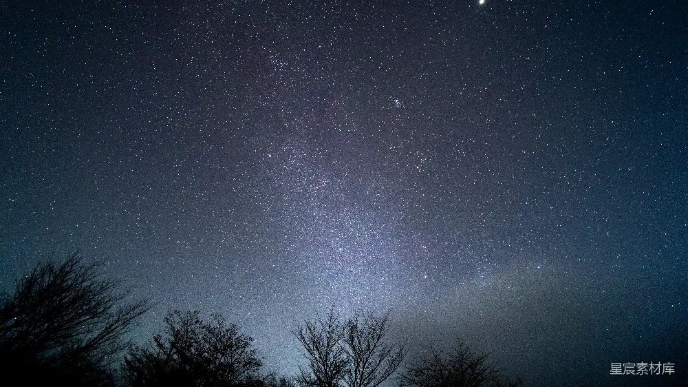 高清摄影 夜空繁星点点，前景是树木