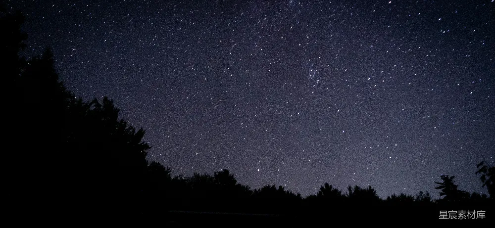 高清摄影 星夜下树木的轮廓