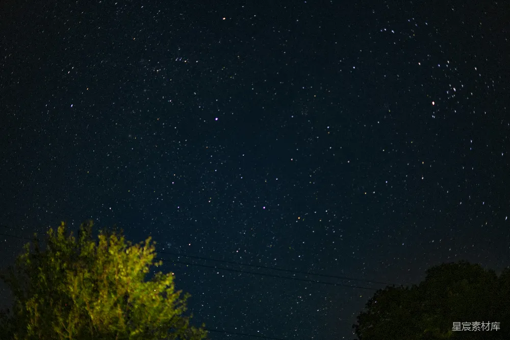 高清摄影 夜幕下的绿树蓝天