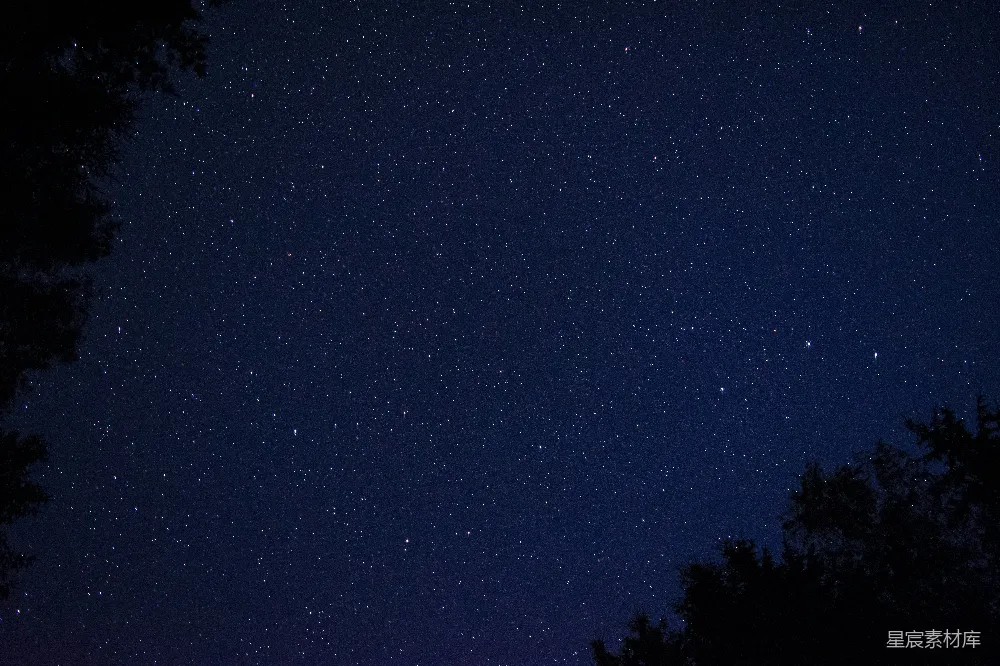 高清摄影 夜幕下的绿树蓝天