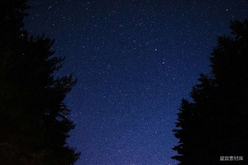 高清摄影 夜幕下的绿树蓝天