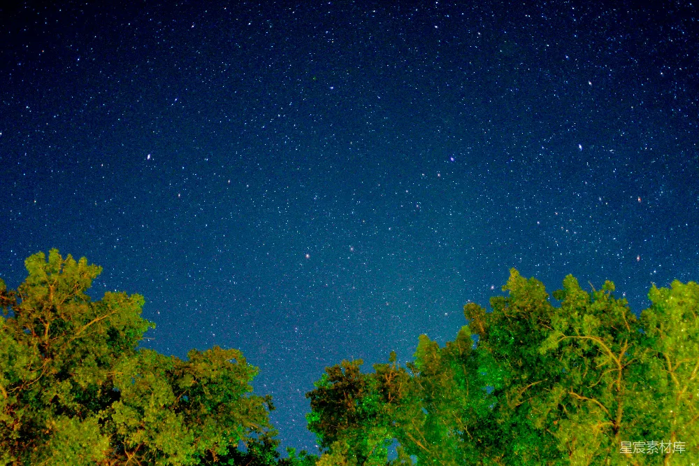 高清摄影 夜空布满了星星和树木