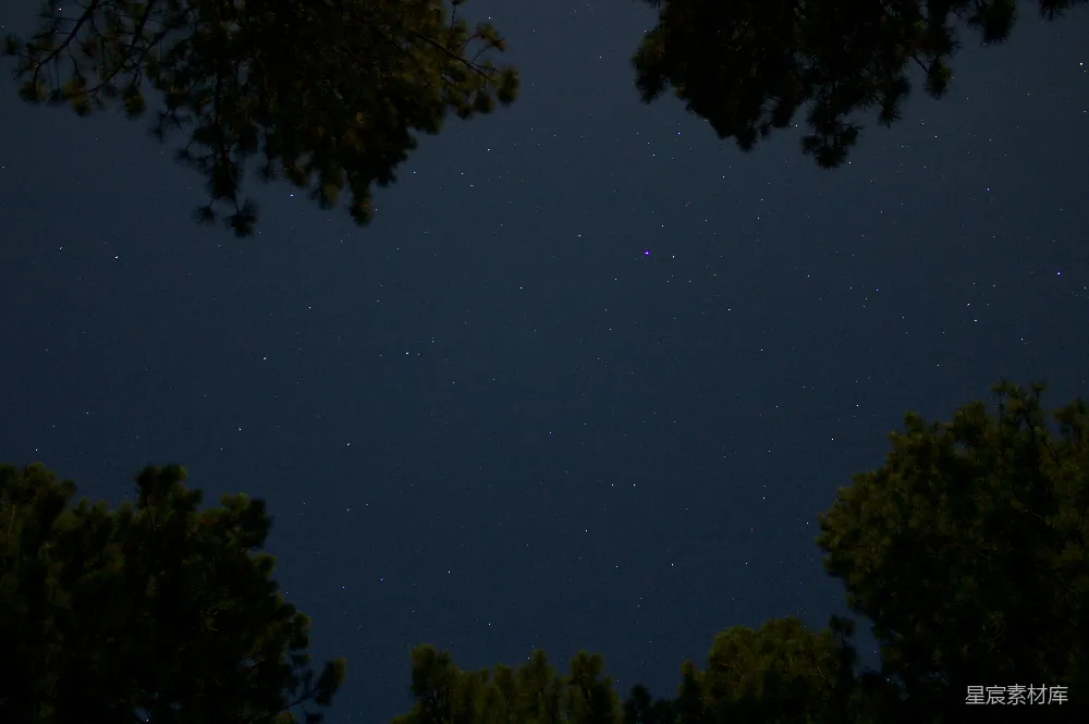 高清摄影 夜幕下的绿树蓝天