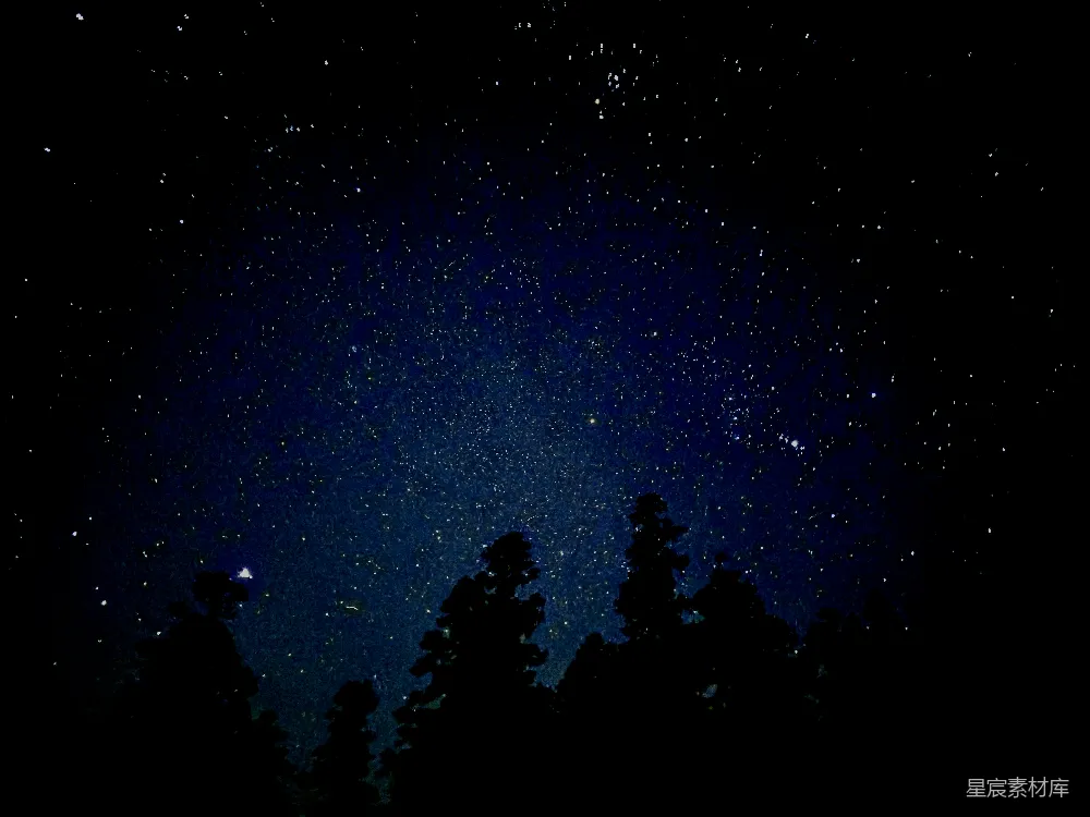 高清摄影 满天星斗映衬下的树影之上是一片晴朗的夜空。