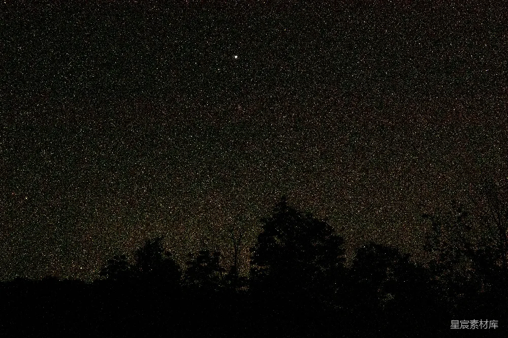 高清摄影 夜空被星星和树木填满。