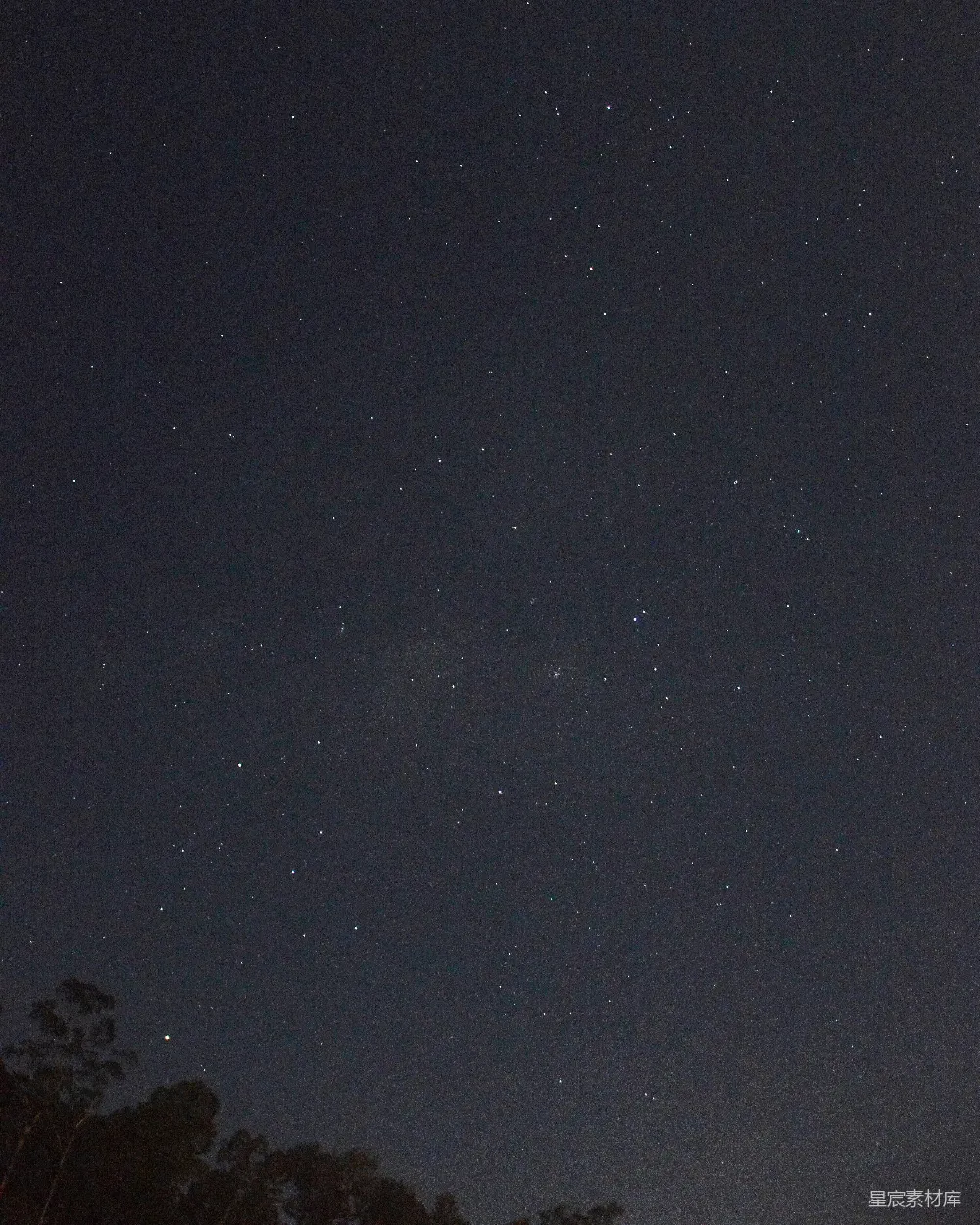高清摄影 夜空中的星星和前景的树木