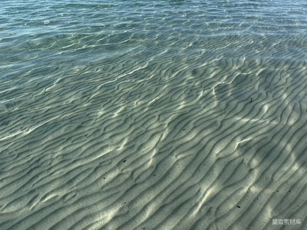 高清摄影 清澈海水下海洋底部的波纹状沙纹。