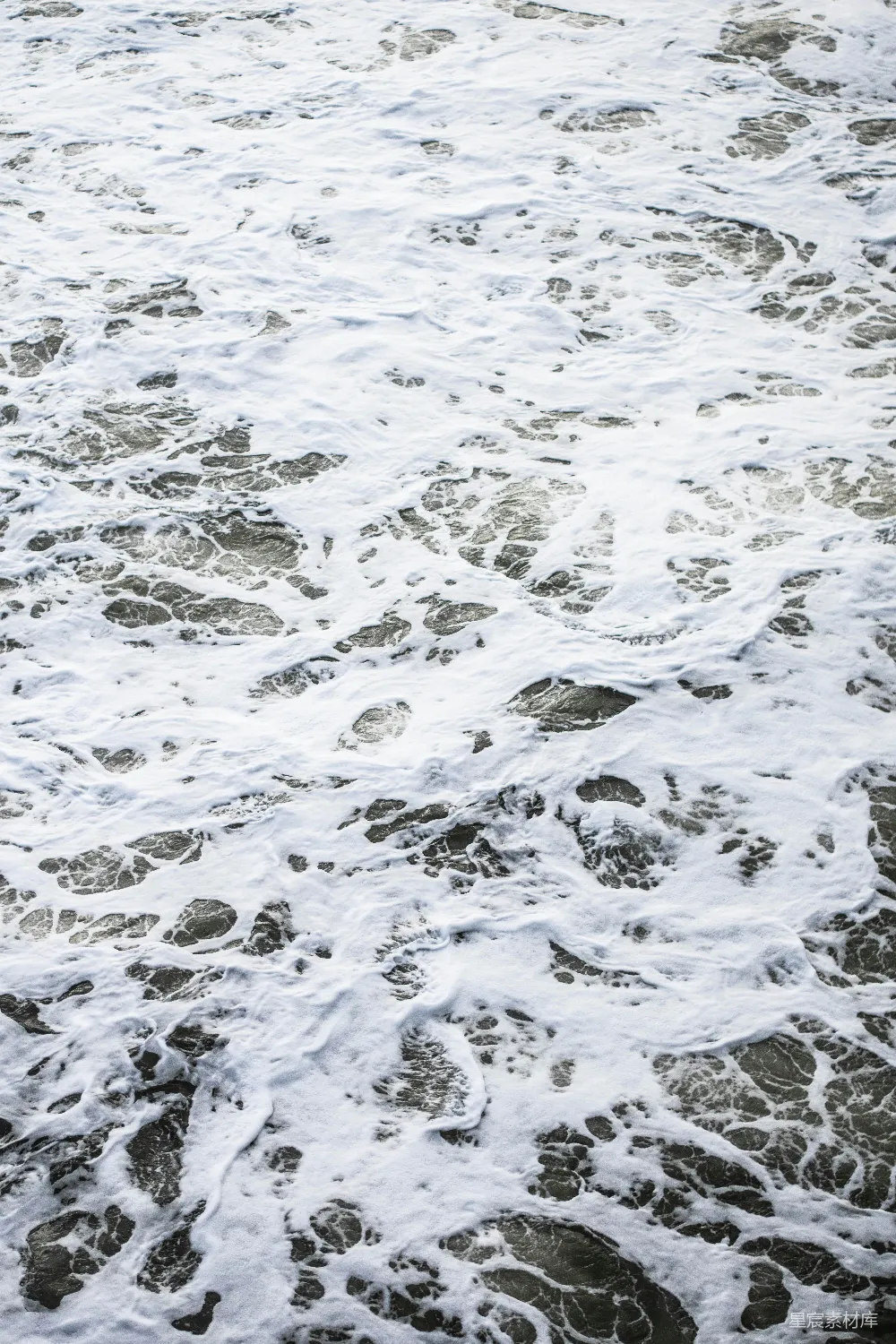 高清摄影 水面漂浮的白色气泡