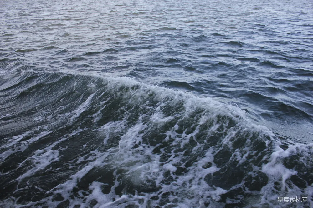 高清摄影 水面波浪